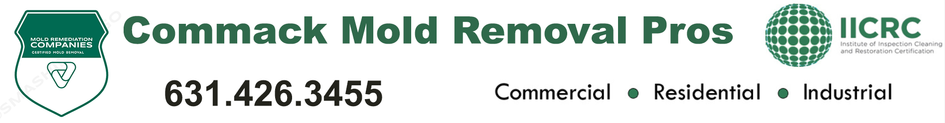 Commack Mold Removal Pros