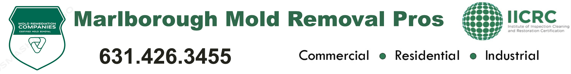 Marlborough Mold Removal Pros