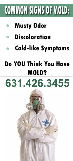 Marlborough Mold Remediation Contractor